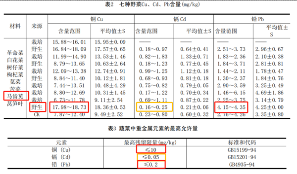 維生素C 16倍于西梅、蛋白質(zhì)7.7倍于冬瓜：這種“長壽菜”現(xiàn)在吃正好