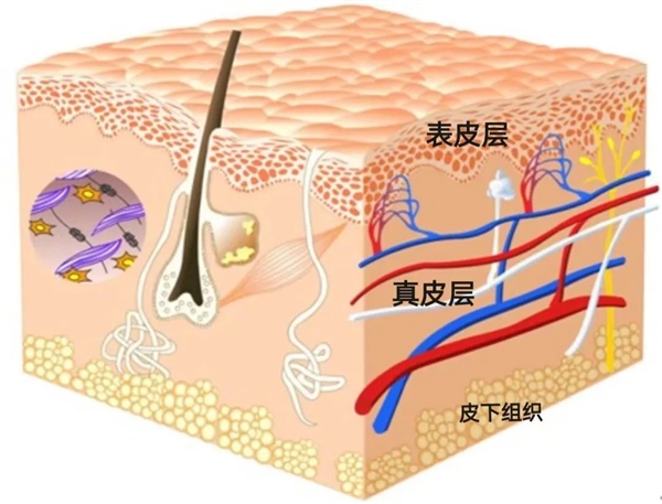 那些紋美瞳線的人 現(xiàn)在都怎么樣了？