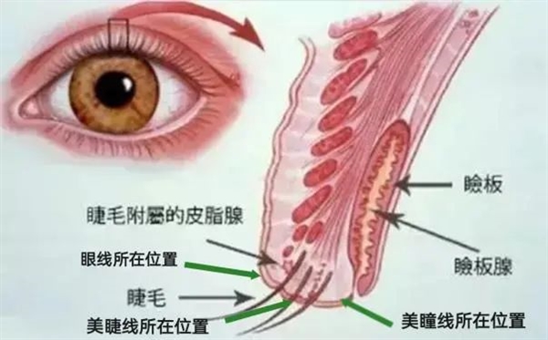 那些紋美瞳線的人 現(xiàn)在都怎么樣了？