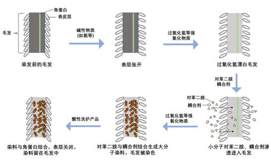 27歲英國(guó)小伙染了個(gè)發(fā)：怎么頭大得跟個(gè)外星人一樣