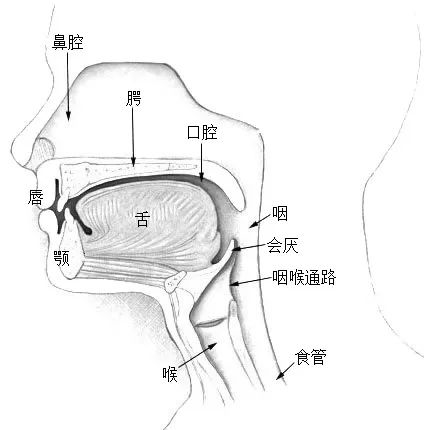 一個(gè)睡眠小習(xí)慣 可能會(huì)損害心臟和血管 快看你有沒(méi)有