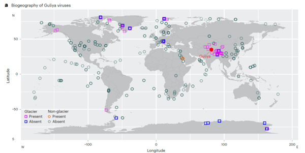 古里雅冰川中發(fā)現超過1700種古病毒：它們對人體有威脅嗎