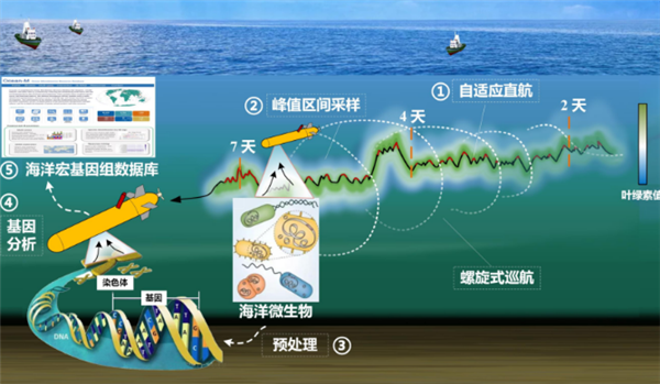 我國首臺！深海微生物原位采樣自主水下航行器研制成功