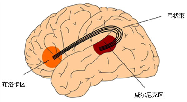 為什么我一緊張就口吃?。? h=