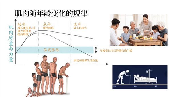 過(guò)了這個(gè)年紀(jì) 肌肉會(huì)快速流失！直到跌倒、骨折、不能自理